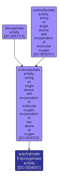 GO:0004051 - arachidonate 5-lipoxygenase activity (interactive image map)