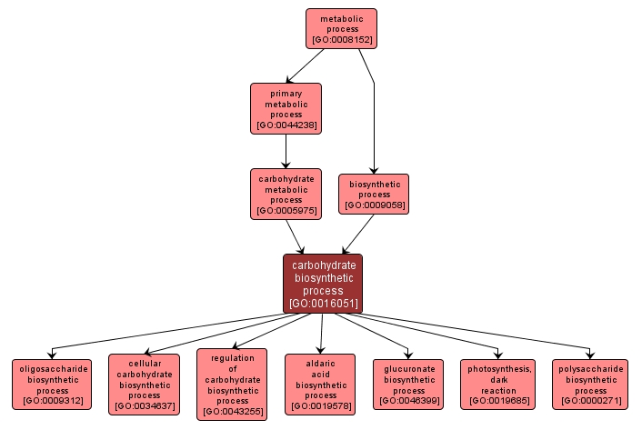 GO:0016051 - carbohydrate biosynthetic process (interactive image map)