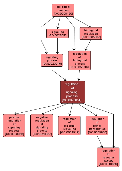 GO:0023051 - regulation of signaling process (interactive image map)