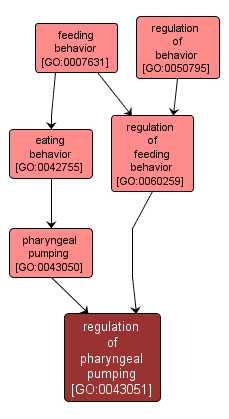 GO:0043051 - regulation of pharyngeal pumping (interactive image map)