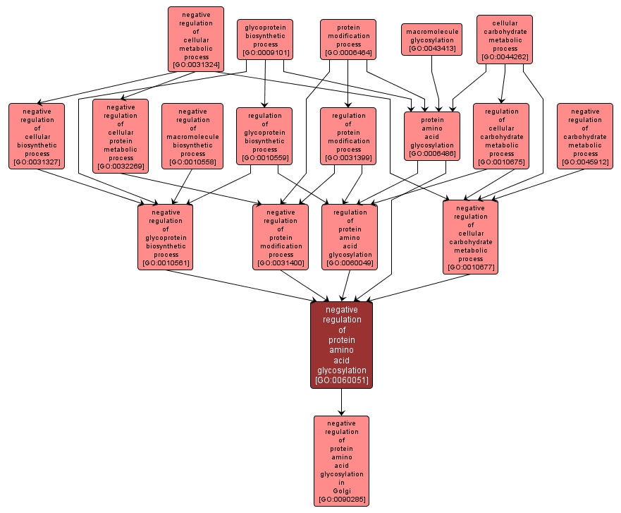 GO:0060051 - negative regulation of protein amino acid glycosylation (interactive image map)