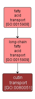 GO:0080051 - cutin transport (interactive image map)