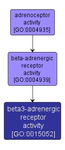 GO:0015052 - beta3-adrenergic receptor activity (interactive image map)