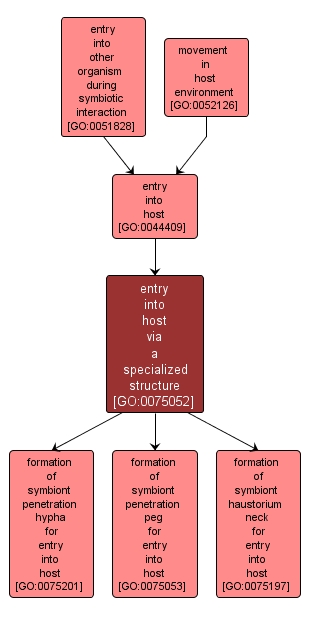 GO:0075052 - entry into host via a specialized structure (interactive image map)