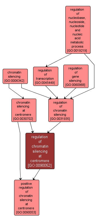 GO:0090052 - regulation of chromatin silencing at centromere (interactive image map)