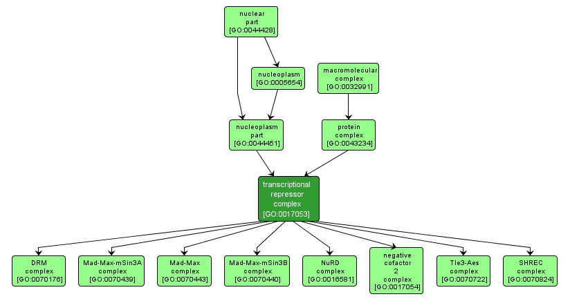 GO:0017053 - transcriptional repressor complex (interactive image map)