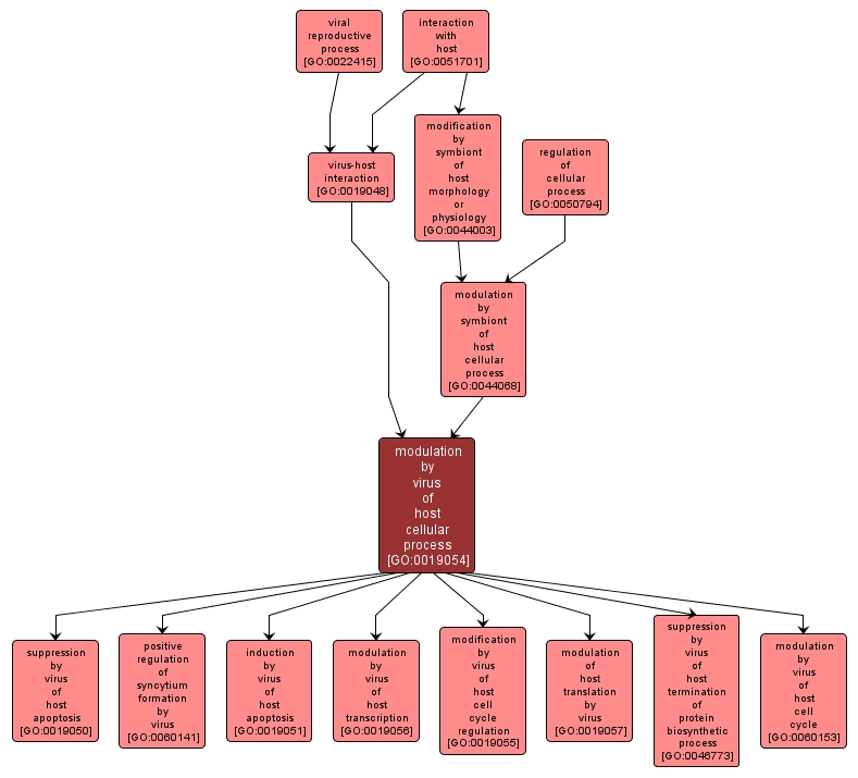 GO:0019054 - modulation by virus of host cellular process (interactive image map)