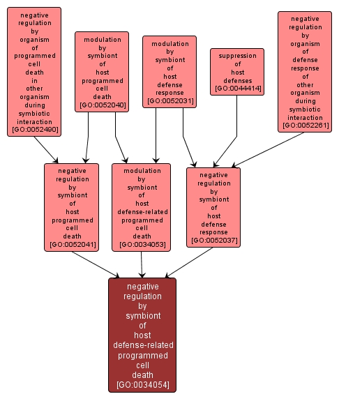 GO:0034054 - negative regulation by symbiont of host defense-related programmed cell death (interactive image map)