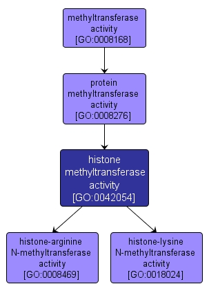 GO:0042054 - histone methyltransferase activity (interactive image map)