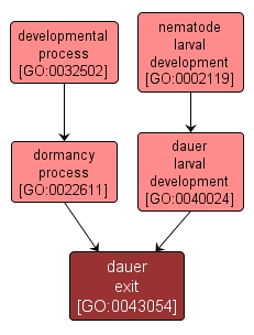 GO:0043054 - dauer exit (interactive image map)