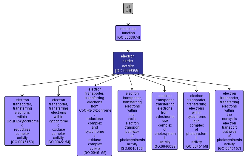 GO:0009055 - electron carrier activity (interactive image map)
