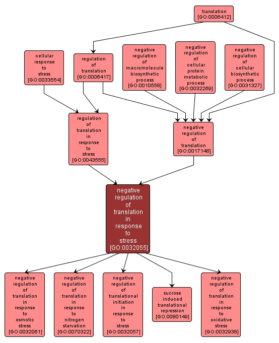 GO:0032055 - negative regulation of translation in response to stress (interactive image map)