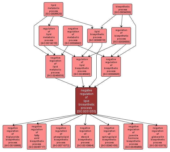 GO:0051055 - negative regulation of lipid biosynthetic process (interactive image map)