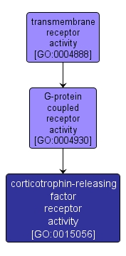 GO:0015056 - corticotrophin-releasing factor receptor activity (interactive image map)