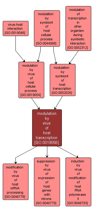 GO:0019056 - modulation by virus of host transcription (interactive image map)