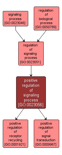 GO:0023056 - positive regulation of signaling process (interactive image map)