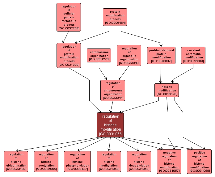 GO:0031056 - regulation of histone modification (interactive image map)