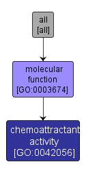 GO:0042056 - chemoattractant activity (interactive image map)