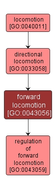 GO:0043056 - forward locomotion (interactive image map)