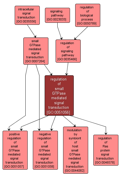 GO:0051056 - regulation of small GTPase mediated signal transduction (interactive image map)