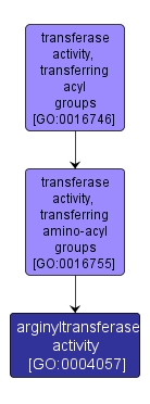 GO:0004057 - arginyltransferase activity (interactive image map)