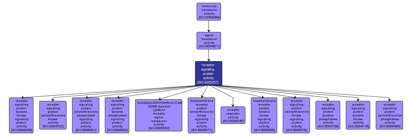 GO:0005057 - receptor signaling protein activity (interactive image map)