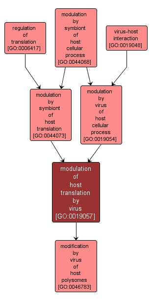 GO:0019057 - modulation of host translation by virus (interactive image map)