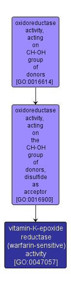 GO:0047057 - vitamin-K-epoxide reductase (warfarin-sensitive) activity (interactive image map)