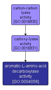 GO:0004058 - aromatic-L-amino-acid decarboxylase activity (interactive image map)