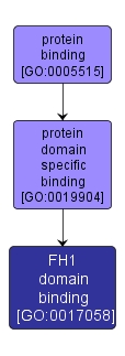 GO:0017058 - FH1 domain binding (interactive image map)