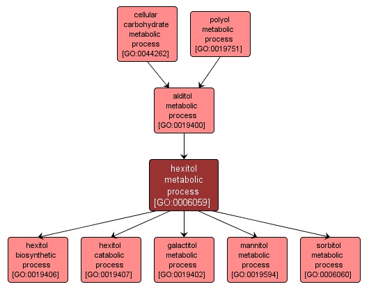GO:0006059 - hexitol metabolic process (interactive image map)