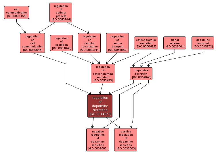 GO:0014059 - regulation of dopamine secretion (interactive image map)