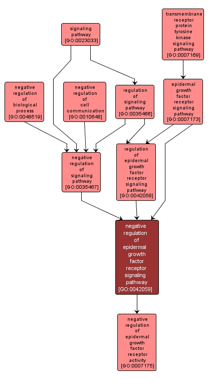 GO:0042059 - negative regulation of epidermal growth factor receptor signaling pathway (interactive image map)