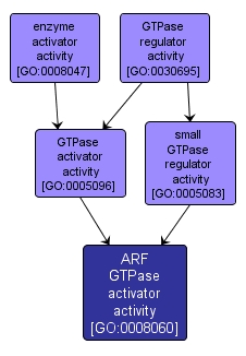 GO:0008060 - ARF GTPase activator activity (interactive image map)