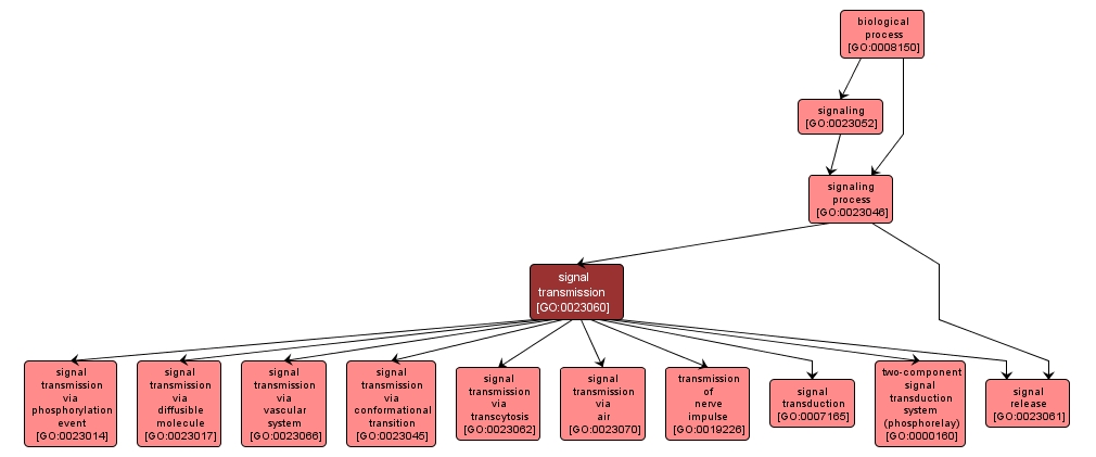 GO:0023060 - signal transmission (interactive image map)