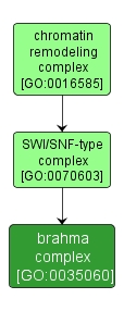 GO:0035060 - brahma complex (interactive image map)
