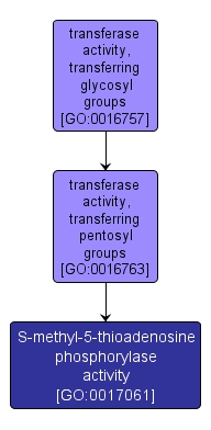 GO:0017061 - S-methyl-5-thioadenosine phosphorylase activity (interactive image map)