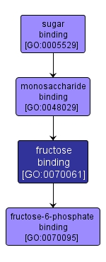 GO:0070061 - fructose binding (interactive image map)