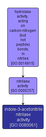 GO:0080061 - indole-3-acetonitrile nitrilase activity (interactive image map)