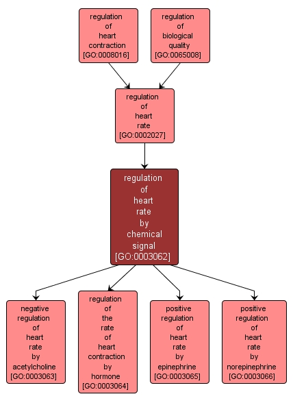 GO:0003062 - regulation of heart rate by chemical signal (interactive image map)