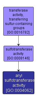 GO:0004062 - aryl sulfotransferase activity (interactive image map)