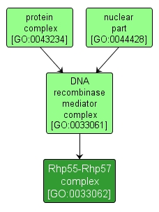 GO:0033062 - Rhp55-Rhp57 complex (interactive image map)