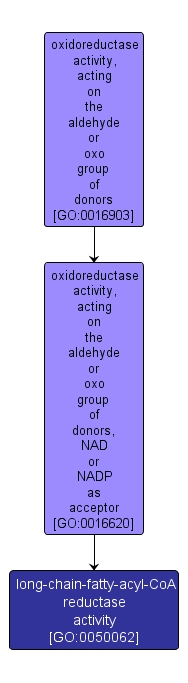 GO:0050062 - long-chain-fatty-acyl-CoA reductase activity (interactive image map)