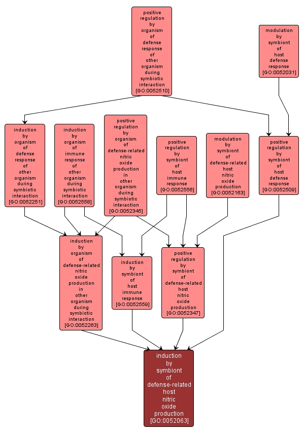 GO:0052063 - induction by symbiont of defense-related host nitric oxide production (interactive image map)