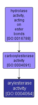 GO:0004064 - arylesterase activity (interactive image map)