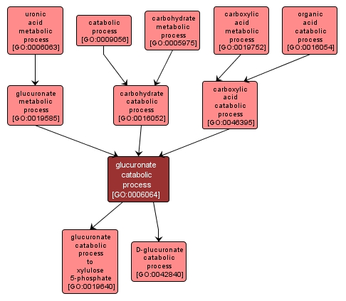 GO:0006064 - glucuronate catabolic process (interactive image map)