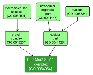 GO:0034064 - Tor2-Mei2-Ste11 complex (interactive image map)