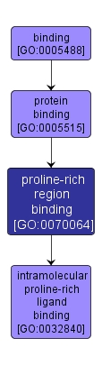 GO:0070064 - proline-rich region binding (interactive image map)