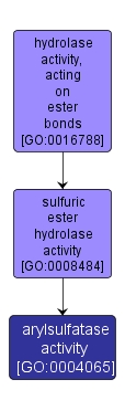 GO:0004065 - arylsulfatase activity (interactive image map)