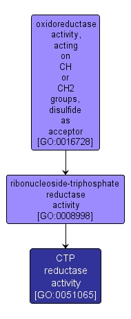 GO:0051065 - CTP reductase activity (interactive image map)